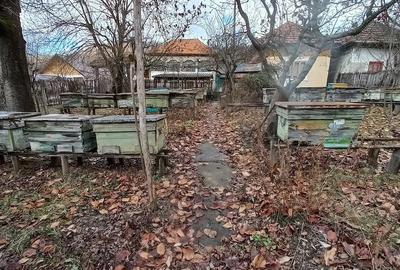 Casă cu 2 camere cu Teren 3000 Mp în Drăghici - 3