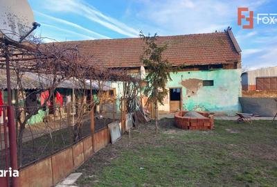Casă cu 7 camere cu Teren 1458 Mp în Lenauheim - 6