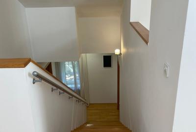 Iancu Nicolae vila 5 dormitoare gradina matura - 20