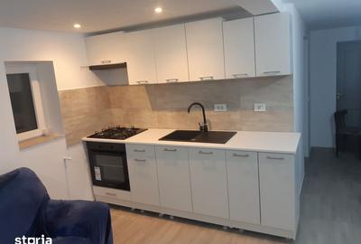 Casă cu 4 camere cu Teren 70 Mp în Prisăcani - 4