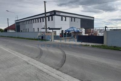 Spatiu industrial de vanzare, 8120 mp, Neamt - 7