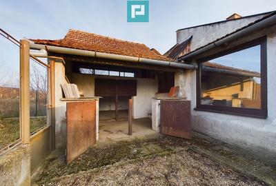 Casa generoasa in Periam jude? Timi? - 15