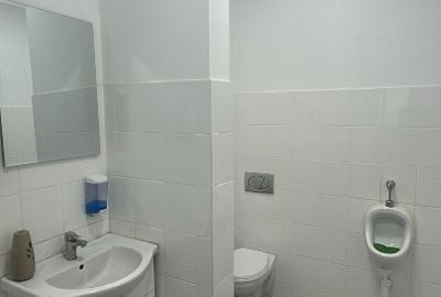 Hala + birouri in Parcul Industrial Roman pt. productie, depozitare, servicii - 7