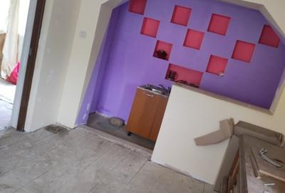 Spre vanzare proprietate Manastirea Humorului - Suceava - Bucovina - 4