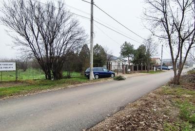 Vânzare teren 6000 mp în orașul Măgurele - 9