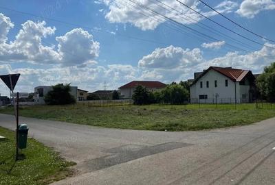 Teren de 894 mp, în Dumbrăvița - 3
