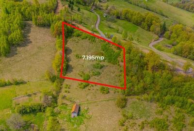 Teren 7,195mp Poiana Marului /Extravilan/Oportunitate investiție - 3
