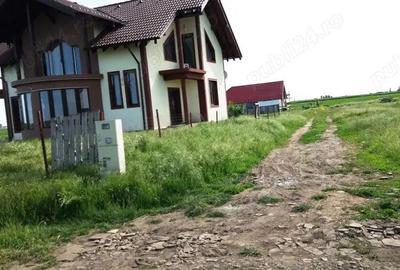 Vanzare Teren Intravilan Magurele 10000mp - 3