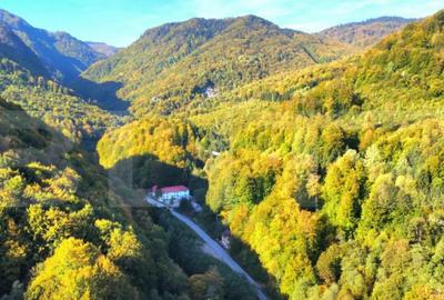 Casă cu 1 camere cu Teren 840 Mp în Central - 3