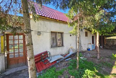 Casă individuală cu 6 camere cu Garaj în Sânandrei - 30