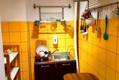 Apartament cu 2 camere decomandat, mobilat în Drumul Taberei - 11