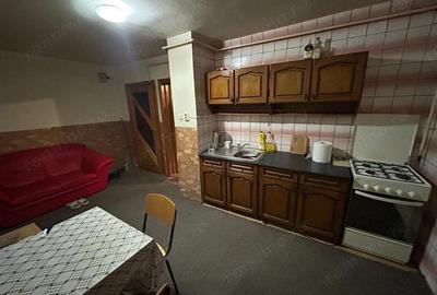 Apartament 2 camere, parter - zona Cetate - 6