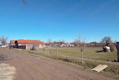 Teren de 759 mp, în Șofronea - 4