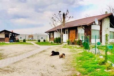 Casa de vacanta in stil canadian, 98 mp utili,  1150 mp curte, Malu Mare - 6