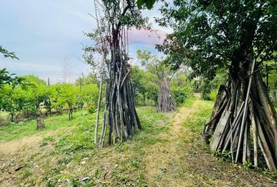 Teren 1,087mp Slatina / Prelungirea Tunari - 1