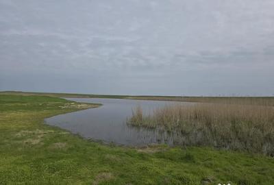 Teren de 230000 mp, în Crunți - 2