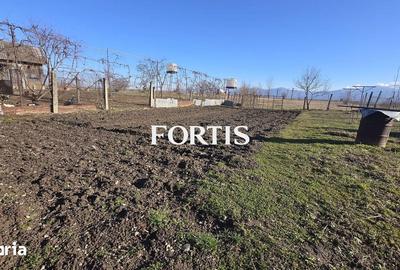 Casă cu 4 camere cu Teren 1000 Mp în Mândra - 1