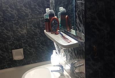 Apartament cu 2 camere decomandat în Precista - 2