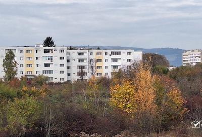 Apartament cu 2 camere semidecomandat în Gheorgheni - 11