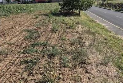 Teren de 3623 mp, în Episcopia Bihorului - 1