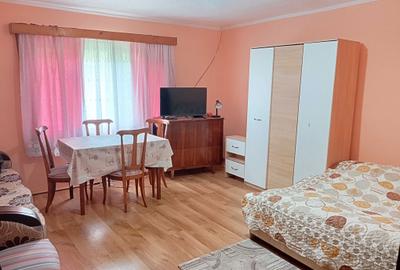 Casă cu 2 camere în Central - 4