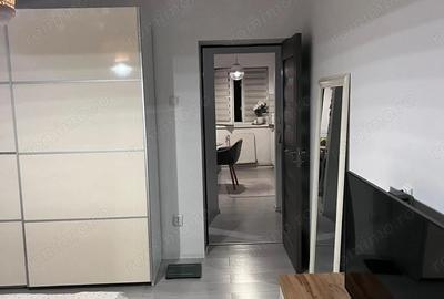 Apartament cu 3 camere semidecomandat în Gojdu - 12