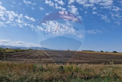 Teren Construcții intravilan de 4874 mp, în Nord - 3