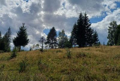 Spațiu comercial, în Câmpu lui Neag - 1