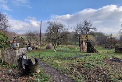 RECO Teren intravilan in Borod, Bihor 1750mp - 15