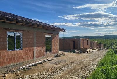 Casă cu 3 camere cu Teren 320 Mp în Trivale - 1