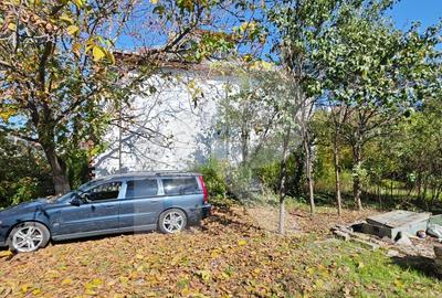 Vila Gabriela Otopeni Vila Gabriela Otopeni - 26