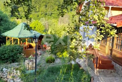 Casă cu 4 camere cu Teren 5500 Mp în Mălureni - 15