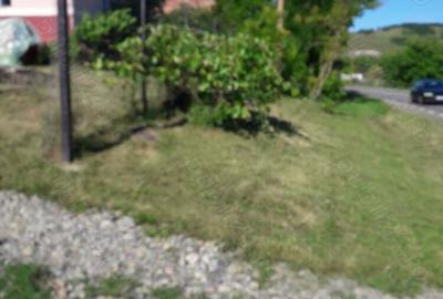 Casa + teren 70 ari sat Corpadea com Apahida 20 km de Cluj Napoca - 2