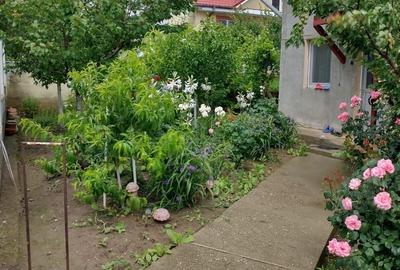 Casă individuală cu 4 camere cu Canalizare în Smârdan - 2