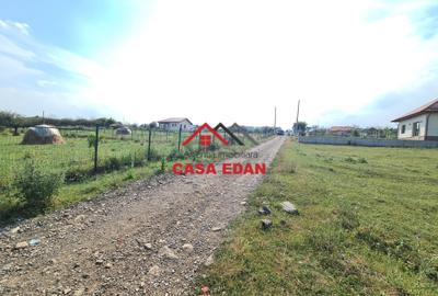Teren Construcții intravilan de 7500 mp, în Câmpina - 3