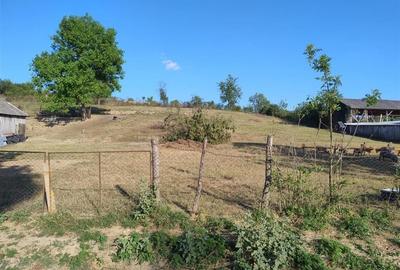 RECO Casa 4 camere, Uileacul de Beius - 9