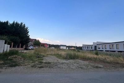 Spațiu comercial, în Brănești - 4