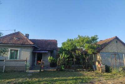 Casă cu 2 camere în Galșa - 4