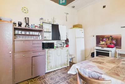 Casă cu Grădină Mare la 30 km de Timișoara - 13