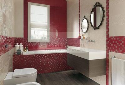 AP 1 CAM GUG VISOIANU LUNCA CETATUII DECOMANDAT - 3