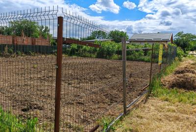 Teren în Cornetu - 10