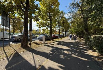 Apartament 1 camera, parter, zona Vivo Mall - 3