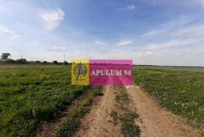 Teren construc?ie casa - 1 Decembrie - Zona Metropolita... - 11