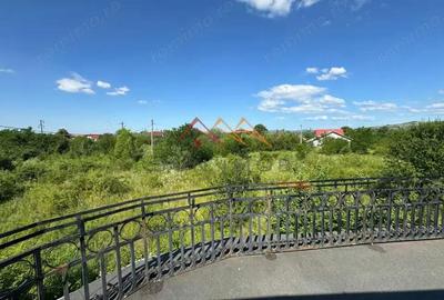 Teren intravilan 20280 mp, oportunitate investitie, Gageni, Prahova - 2