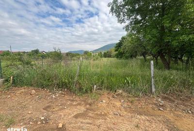Teren de 3700 mp, în Valea Borcutului - 1