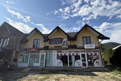 Spațiu comercial, de 380 mp, în Alexandru cel Bun - 1