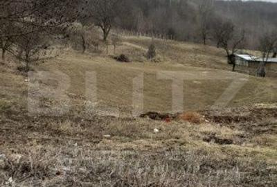Teren de 6800 mp, în Ipatele - 4