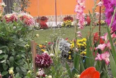 Casă cu 3 camere în Avram Iancu (Cermei) - 2