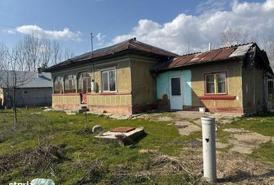 Spațiu comercial, în Gostinu - 6