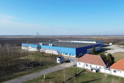 Spațiu industrial, de 6,227 mp, în Homorog - 6